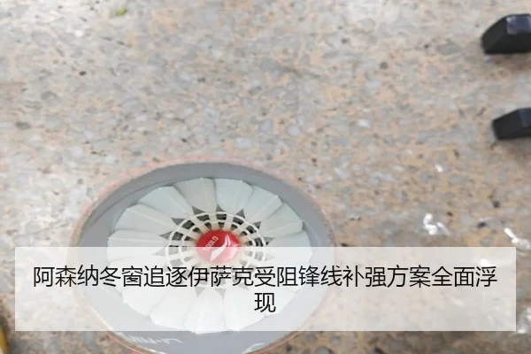 阿森纳冬窗追逐伊萨克受阻锋线补强方案全面浮现